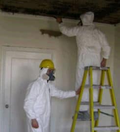 New Mexico Mold Removal