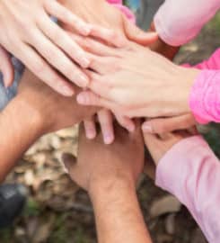 Recovery Advocates