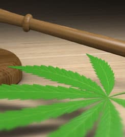 DUI Law Firm Denver Aurora