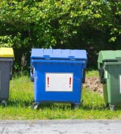 Buffalo Dumpster Rental