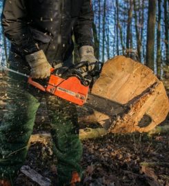Tree Service Huntsville LLC
