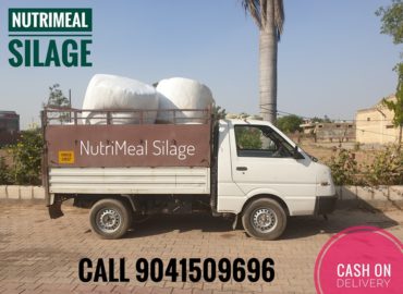 Silage Agro Private Limited