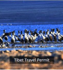 Tibet Universal International Travel Co. Ltd.