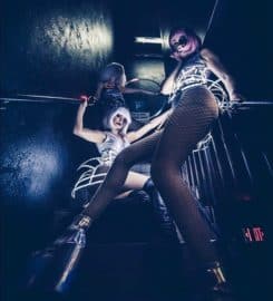 Lucid Life Entertainment