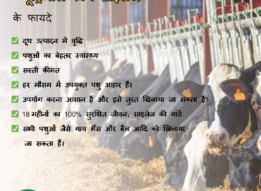Silage Agro Private Limited