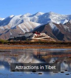 Tibet Universal International Travel Co. Ltd.