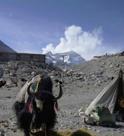 Tibet Universal International Travel Co. Ltd.