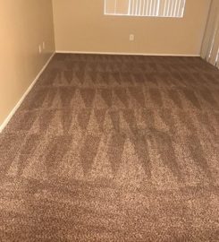Six Carpet Cleaning of Oakville