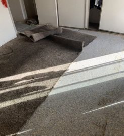 Six Carpet Cleaning of Oakville