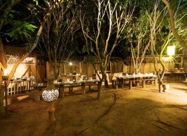 Luxury Beach Hotel in Negombo