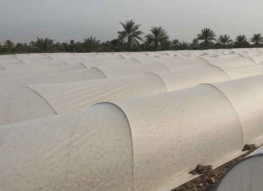 Innogryl – Biodegradable Agricultural Film