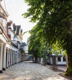 Think Plutus