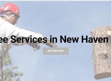 Tree Services New Haven