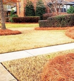 Ben's Lawn Care