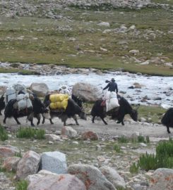 Tibet Universal International Travel Co. Ltd.