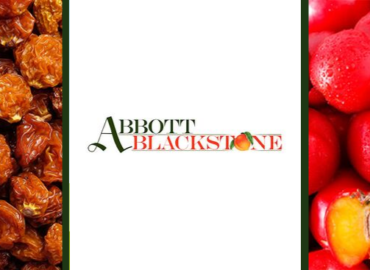 Abbott Blackstone Co.