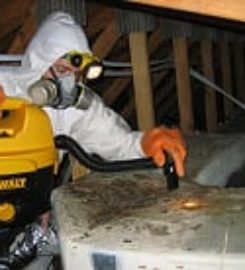 Buffalo Bed Bug Pest Control