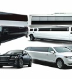 C3 Transportation