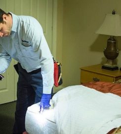 Buffalo Bed Bug Pest Control