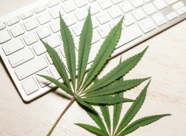 EZWeed Online