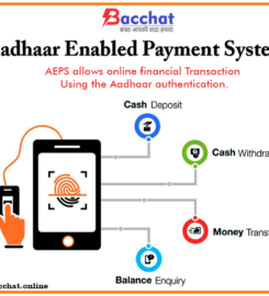 Bacchat Online