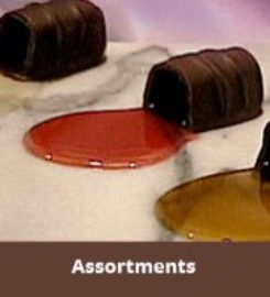 Quintessential Chocolates