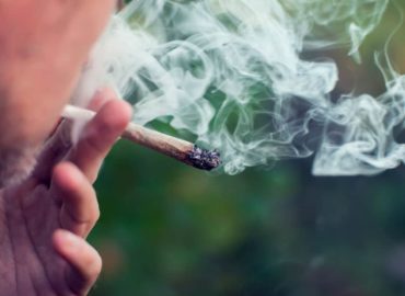 EZWeed Online