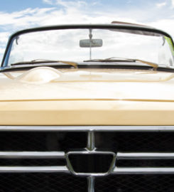 Auto Shipping Group