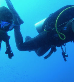 Diveplanner