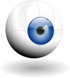 Ava Eye Clinic