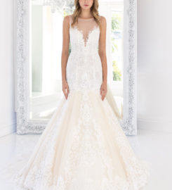 Winnie couture- Couture Bridal Fashion