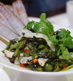 Guan Fu Szechuan