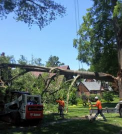 Alexandria Tree Services Unlimited