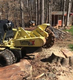 Alexandria Tree Services Unlimited