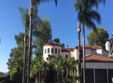 Santa Ana Tree Service Experts