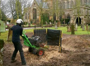 Stump Removal Services