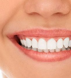 Dentist Brooklyn | Eco Dental
