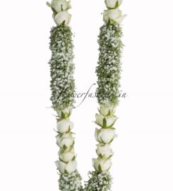 Flower Fashion