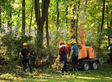Paradise Landscaping & Tree Removal