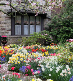 Chris James Landscaping