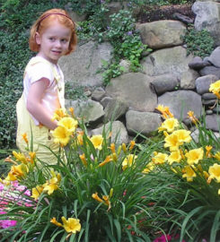 Chris James Landscaping