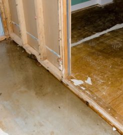 Water Damage Removal