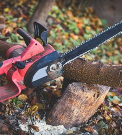 Rochester Tree Service Pros