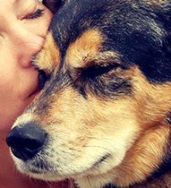 PETS R.I.P