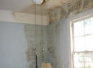 Flooded Basement Clean Up Long Island