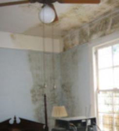 Water Damage Removal