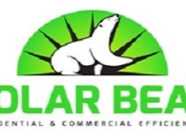 Solar Bear