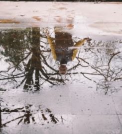 Water Damage Restoration Near Me Long Island