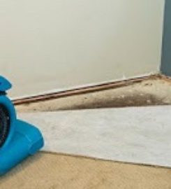Flooded Basement Clean Up