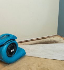 Water Damage Repair Brooklyn